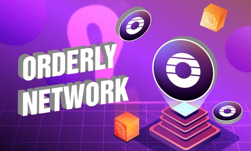 Orderly Network's New Platform: An Analysis of the Data and Market Viability